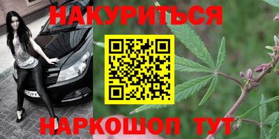 каннабис Новозыбков