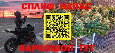 тгк Новокубанск